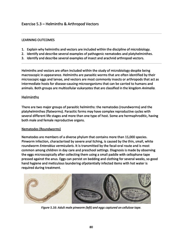 Microbiology - Module 5 Introduction - Page 80